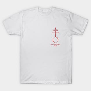 Ave Christus Rex (small image) T-Shirt